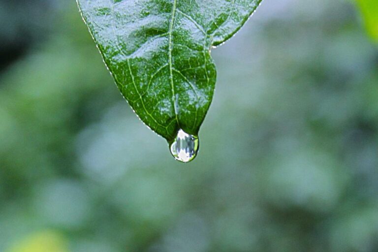 Relaksacyjny masaż twarzy i głowy