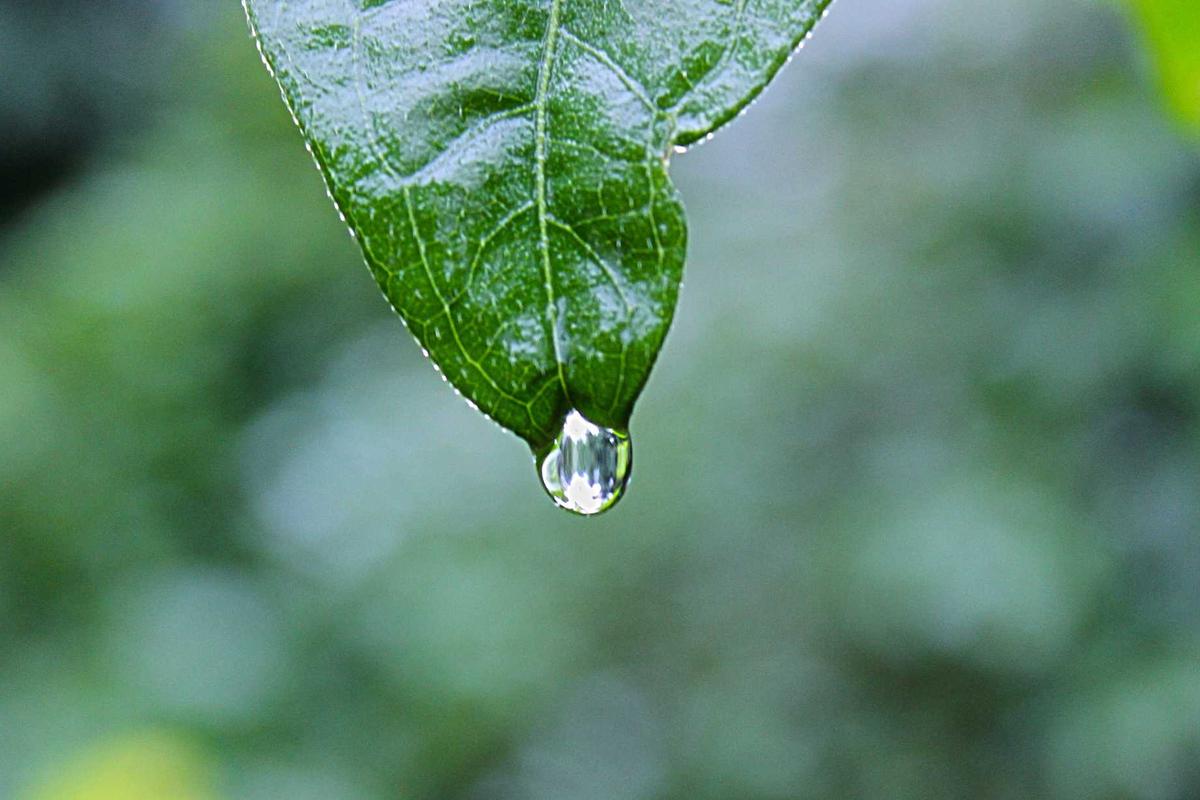 Relaksacyjny masaż twarzy i głowy