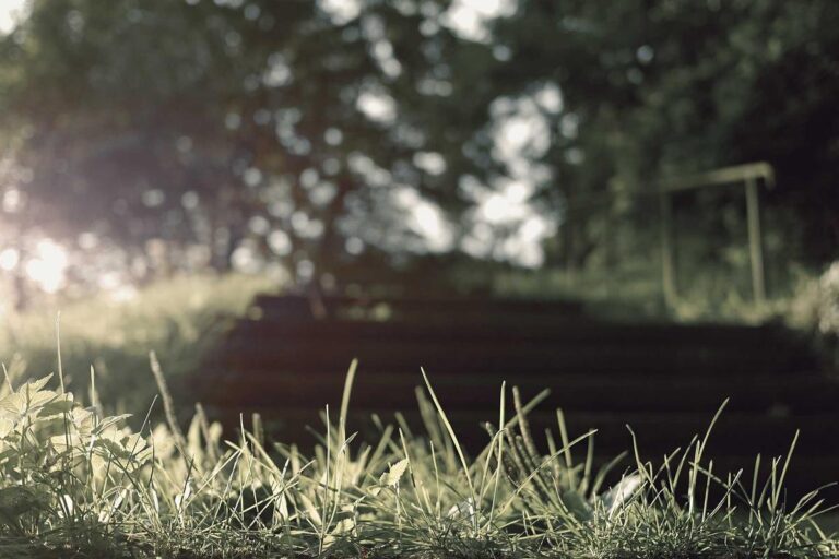 Rytuał Green Mint (dla mężczyzn)