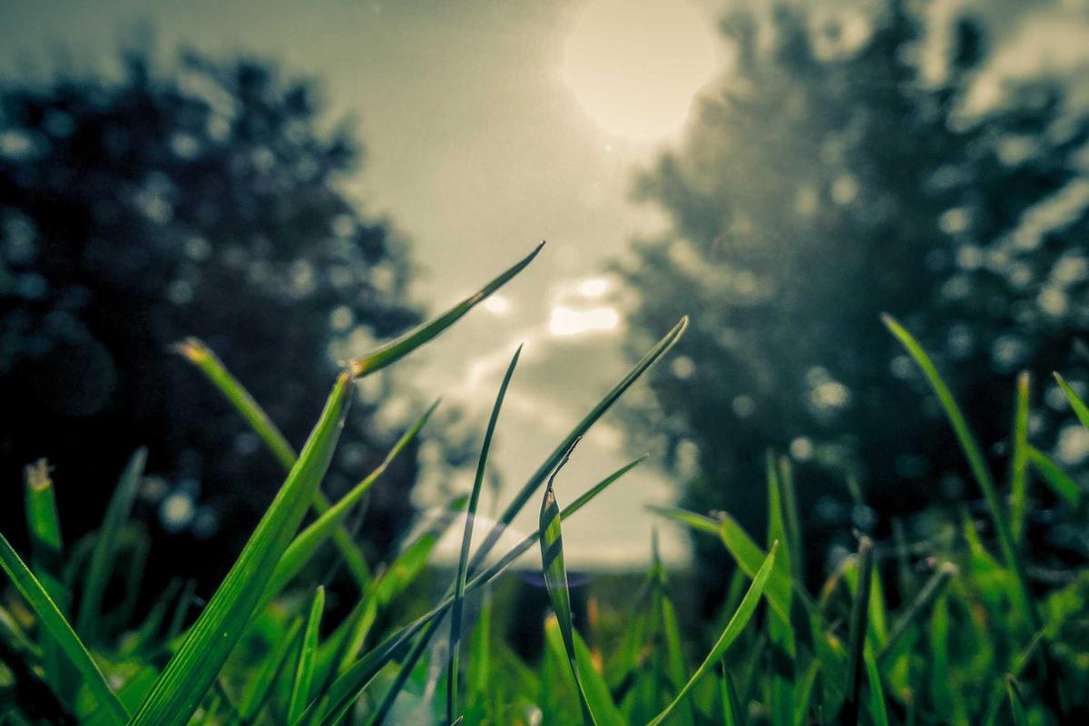 Solankowy okład na plecy